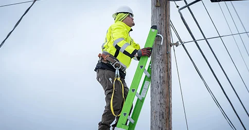 Werner Extension Ladders